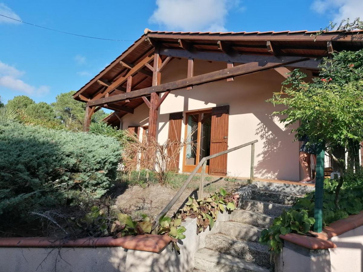 Maison Au Dessus Du Lac De Biscarrosse Ngoại thất bức ảnh